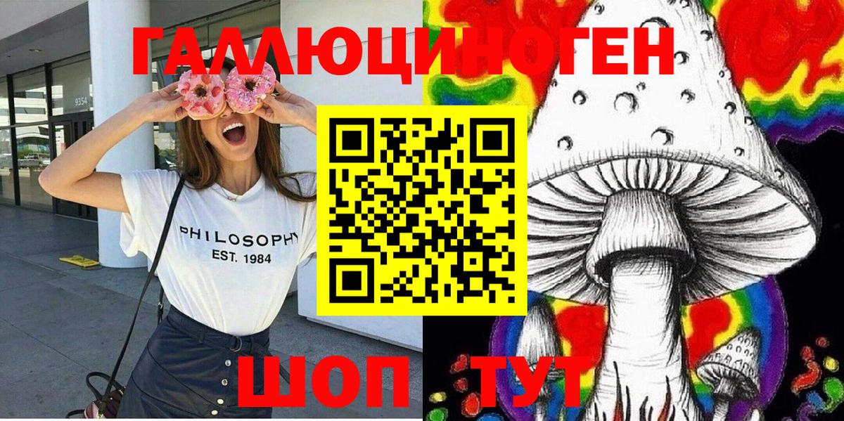 Великий Устюг  Галлюциногенные грибы Psilocybine cubensis  Вход с VPN  Псилоцибиновые грибы прущие грибы 